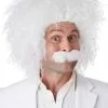 E=MC2 Costume Wig And Moustache