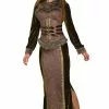 Viking Goddess Adult Costume