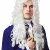 Nobleman Wig (White) -Wigs Shop FR24889 full 1