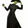 Wicked Witch Plus Size Costume -Wigs Shop FR86001X full 1