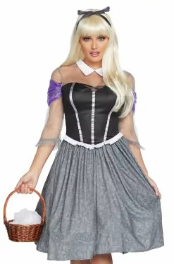 Peasant Sleeping Princess Adult Costume