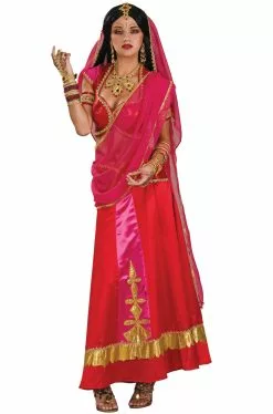 Bollywood Beauty Adult Costume